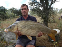 Catch Carp Now